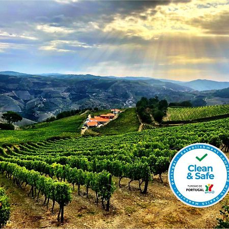 فيلا Quinta Dos Espinheiros Provesende المظهر الخارجي الصورة