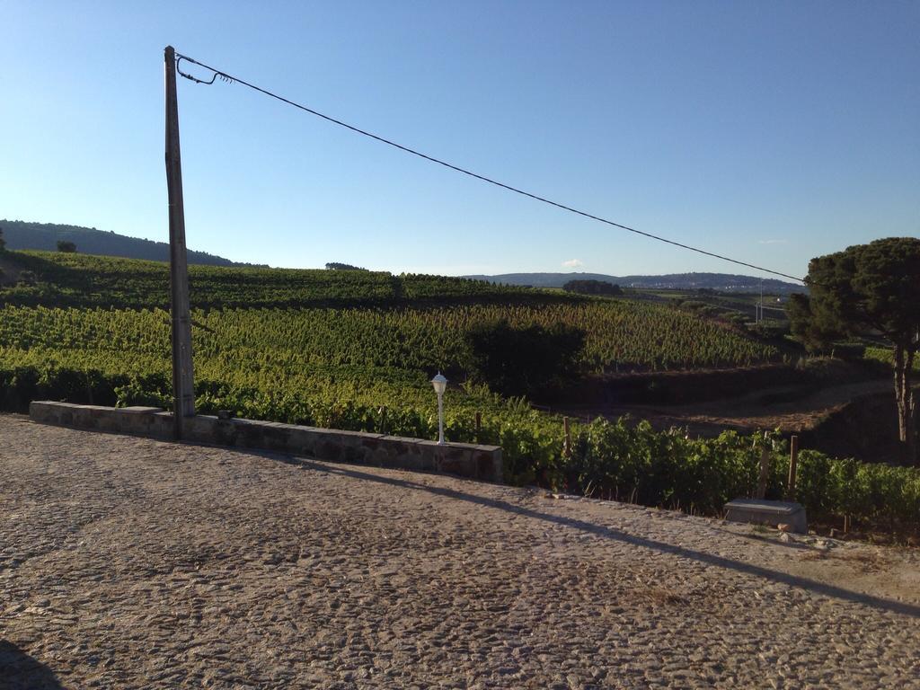 فيلا Quinta Dos Espinheiros Provesende الغرفة الصورة
