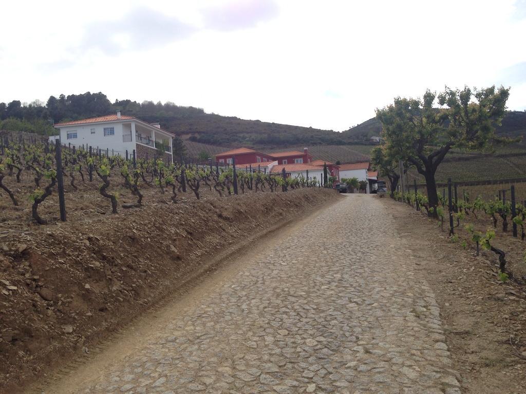 فيلا Quinta Dos Espinheiros Provesende الغرفة الصورة