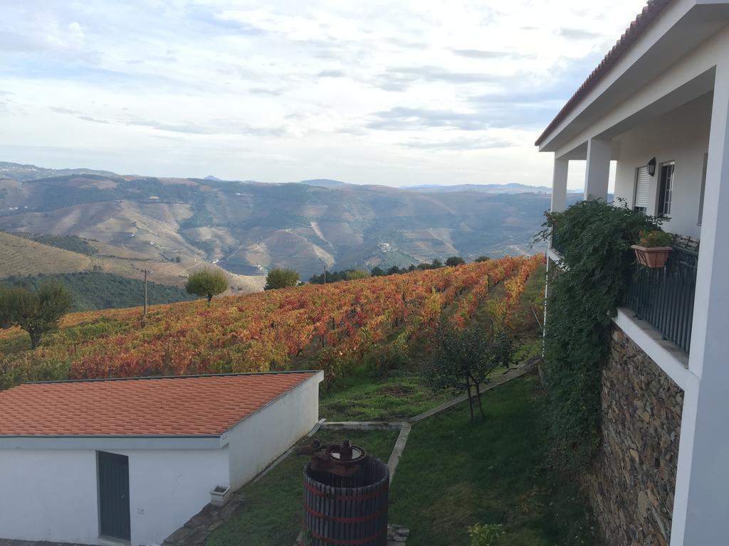 فيلا Quinta Dos Espinheiros Provesende المظهر الخارجي الصورة