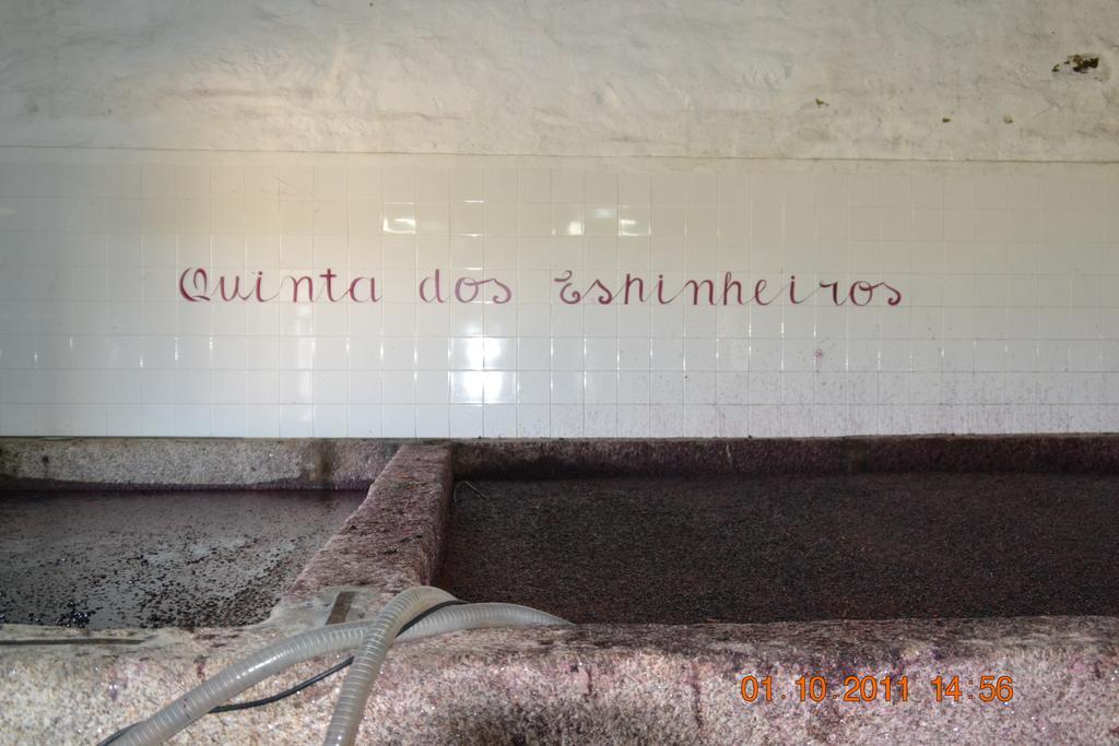فيلا Quinta Dos Espinheiros Provesende المظهر الخارجي الصورة
