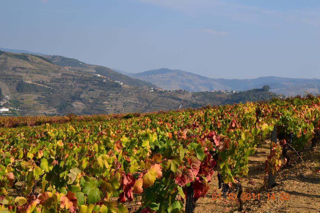 فيلا Quinta Dos Espinheiros Provesende المظهر الخارجي الصورة