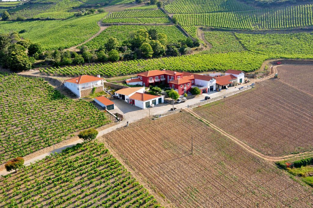 فيلا Quinta Dos Espinheiros Provesende المظهر الخارجي الصورة