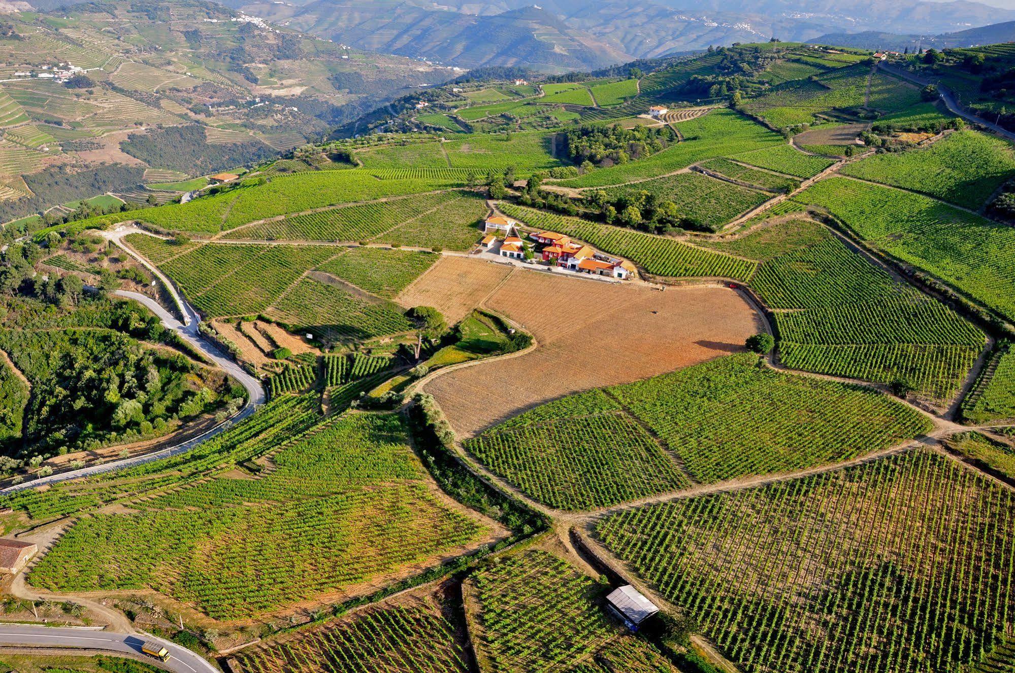 فيلا Quinta Dos Espinheiros Provesende المظهر الخارجي الصورة