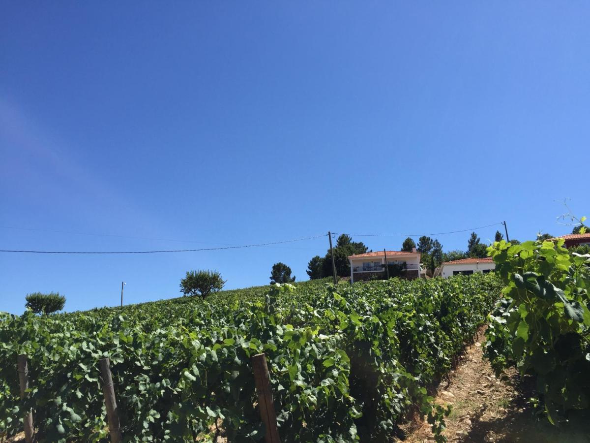 فيلا Quinta Dos Espinheiros Provesende الغرفة الصورة