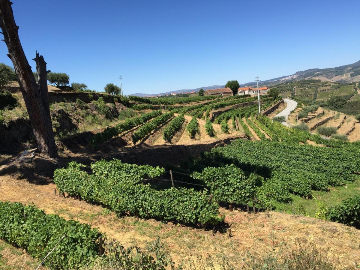 فيلا Quinta Dos Espinheiros Provesende الغرفة الصورة